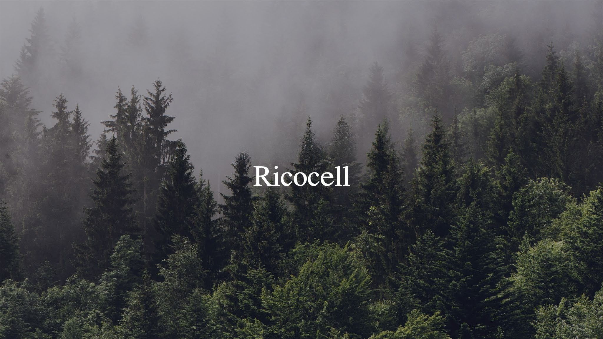 RICOCELL R1